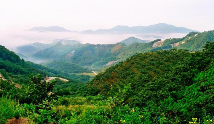 野河山景区-琴峰