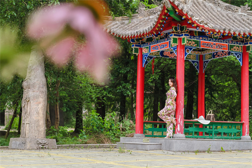 图片19.jpg