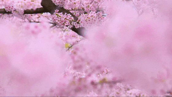 640 (1).gif