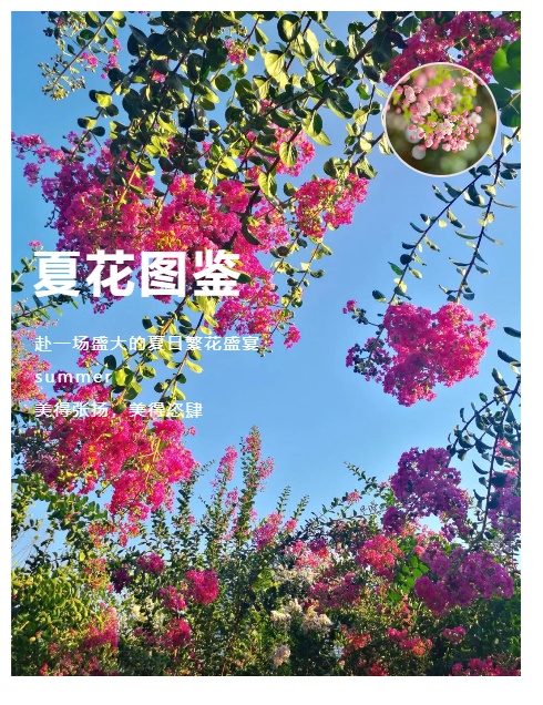 1692088602395299.jpg 1692088602395299.jpg