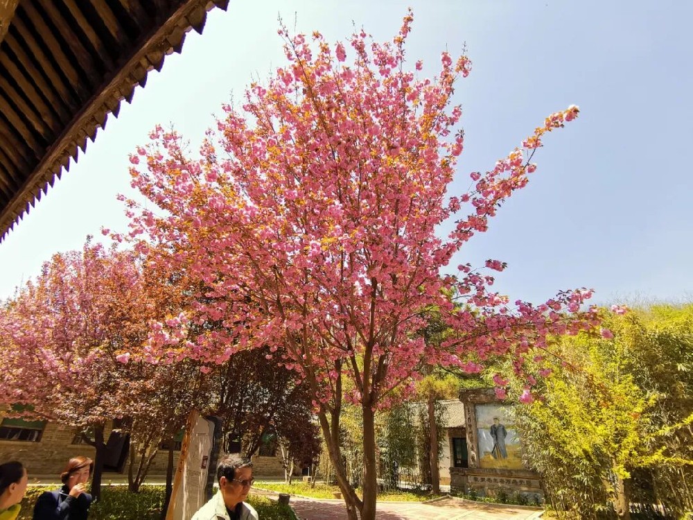 1681701508199266.jpg 1681701508199266.jpg