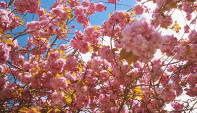 1681701534807341.jpg 1681701534807341.jpg