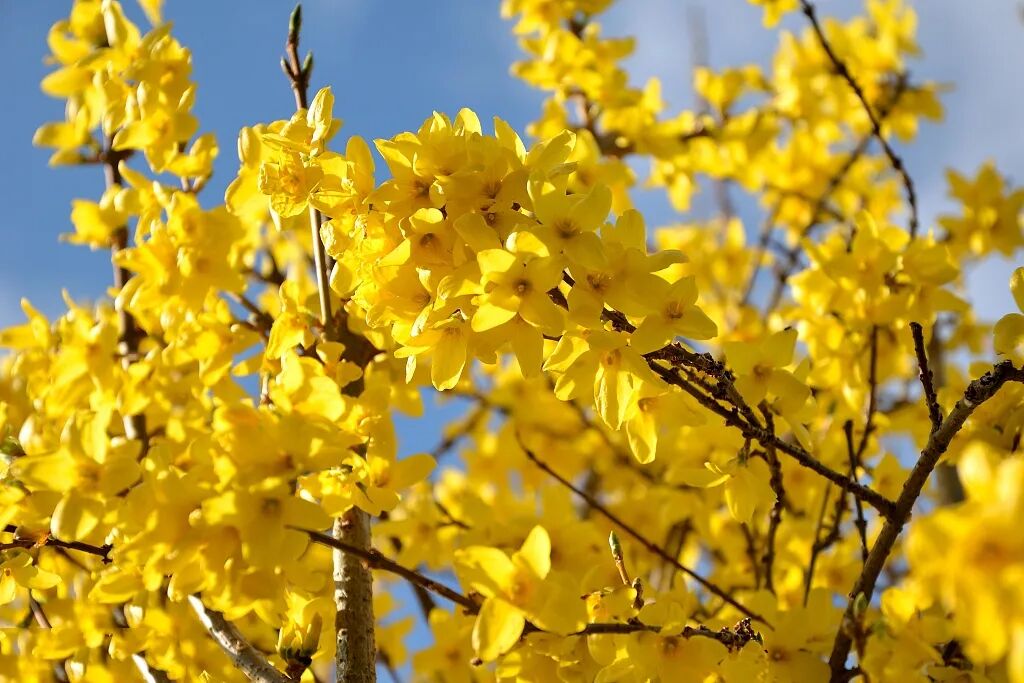 1681701715121517.jpg 1681701715121517.jpg