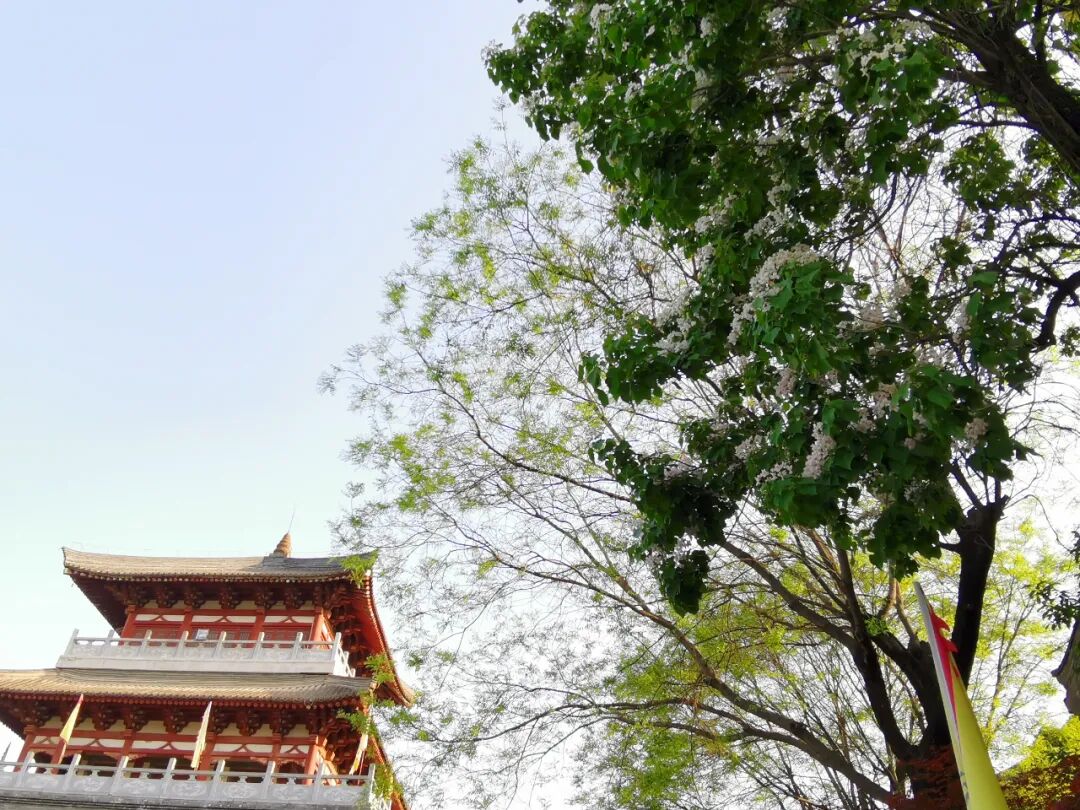 1681701736169653.jpg 1681701736169653.jpg