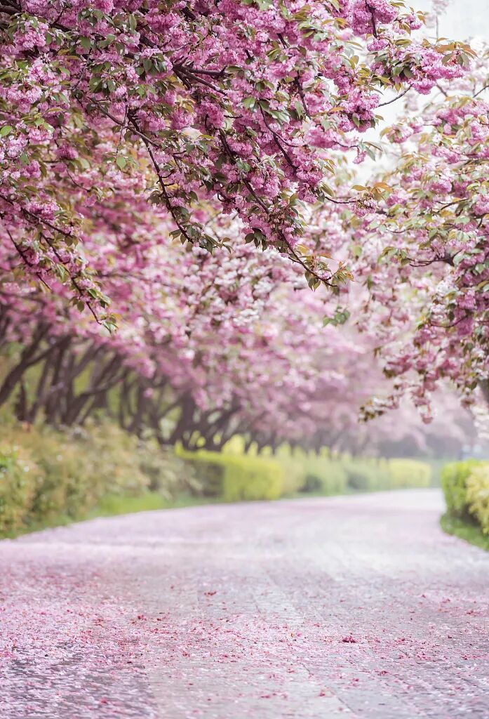 1681097215733776.jpg 13406299494507186.jpg