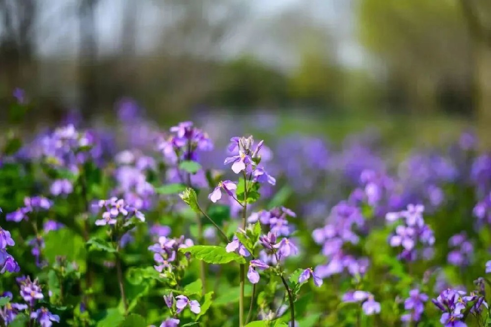 1679997290213245.jpg 13406299488688414.jpg