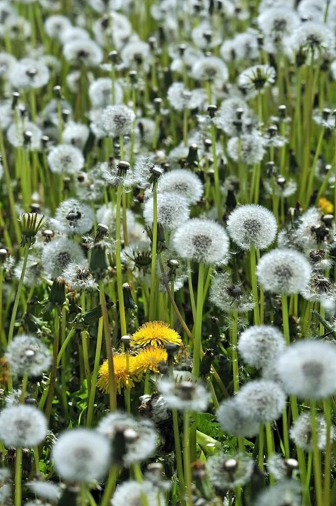 1679997367358967.jpg 13406299491858595.jpg