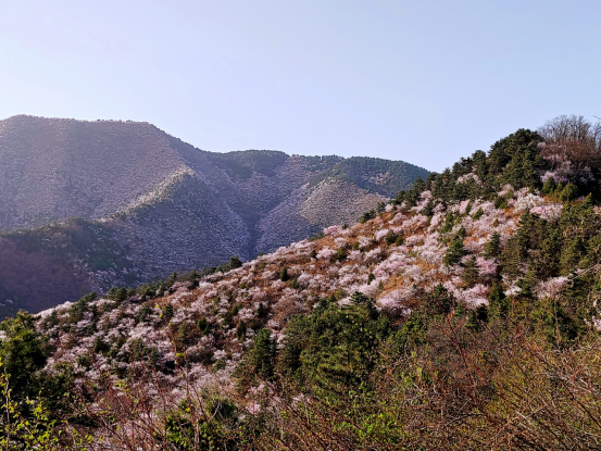 1678691263123110.jpg 1678691263123110.jpg