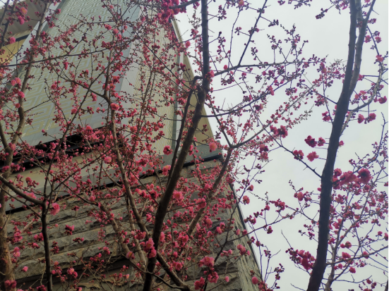 1678083683205928.jpg 1678083683205928.jpg