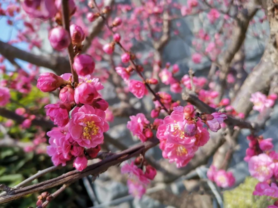 1677654652121869.jpg 1677654652121869.jpg