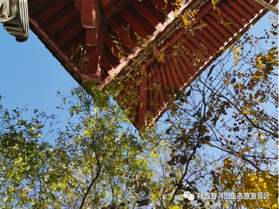 1638862457539528.jpg 640 (5).png