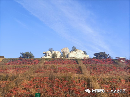 1639548894149596.jpg 640 (1).png