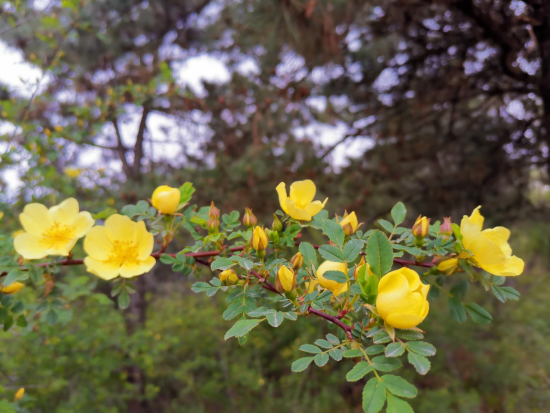 1651558824214236.jpg 640 (6).png