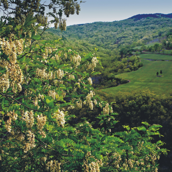 1651652618545500.jpg 640 (3).png