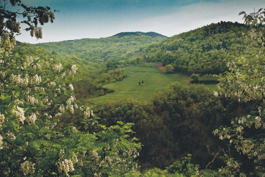 1651652651456888.jpg 640.jpg