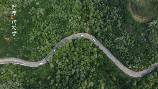 1654062129185791.jpg 640.png