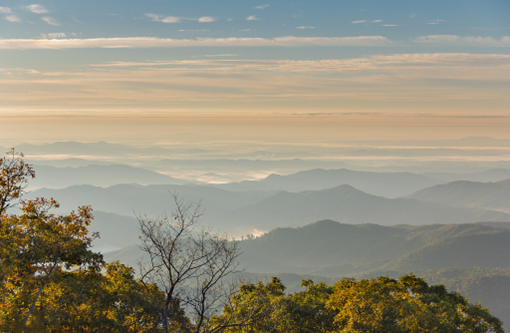 1667182543138228.jpg 640 (4).png