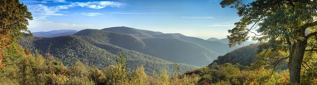 1667182582467277.jpg 640 (4).jpg