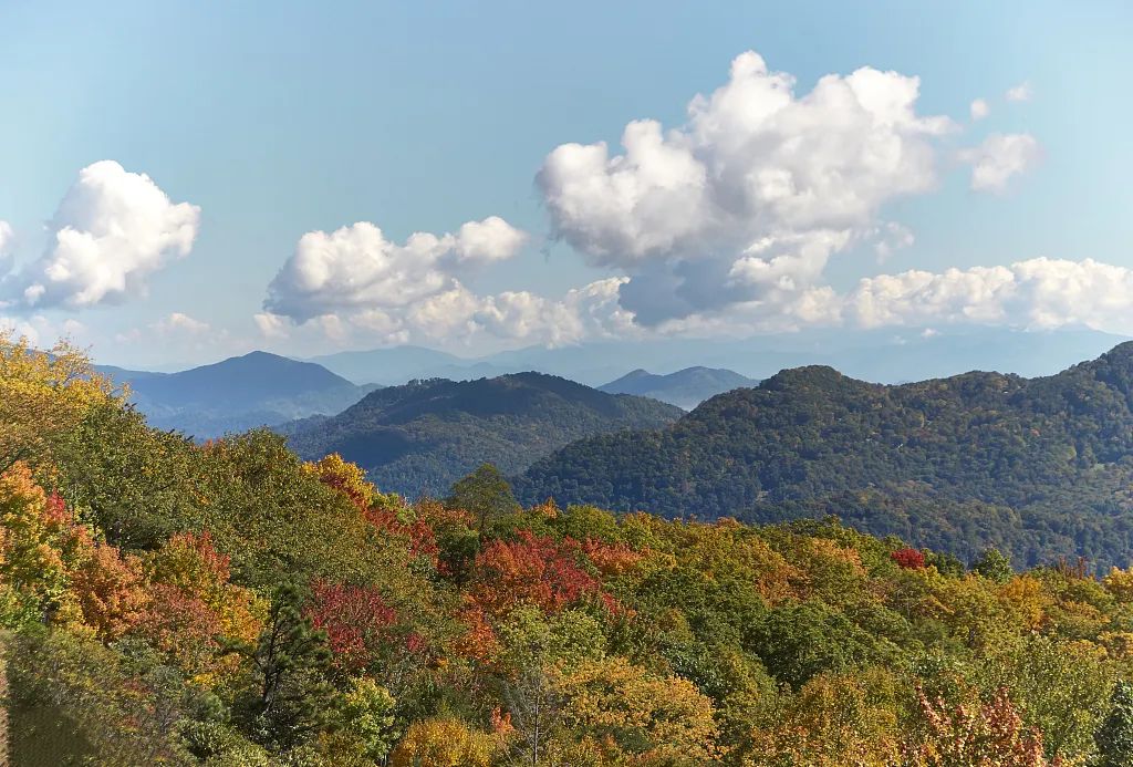 1667182626183068.jpg 640 (5).jpg