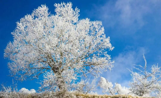 1674094830459631.jpg 640 (2).png