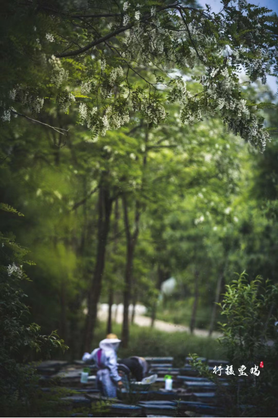 1675575550560090.jpg 1675575550560090.jpg