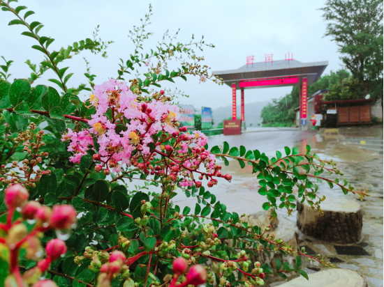 1658036023710035.jpg 640 (14).png