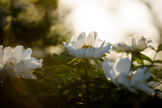 1650335366116379.jpg 640 (34).png