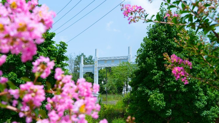 A1_03081_副本.jpg