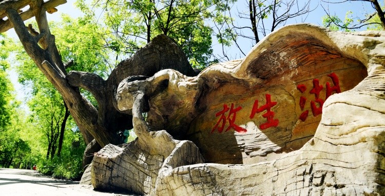 放生湖 (3).jpg