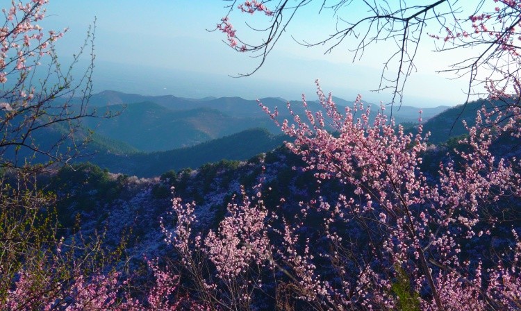 微信图片_2026-03-09_103001_783.jpg