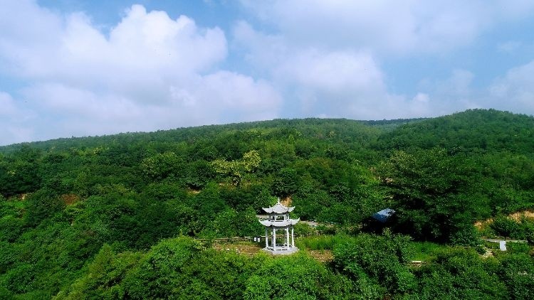 DJI_0833_resized.JPG