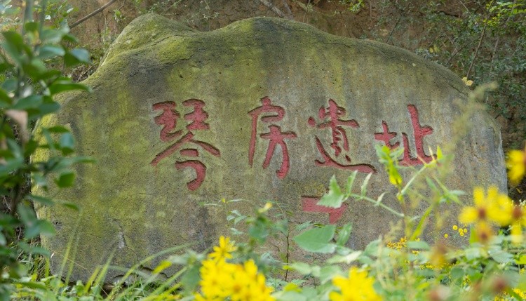 A1_04328.jpg