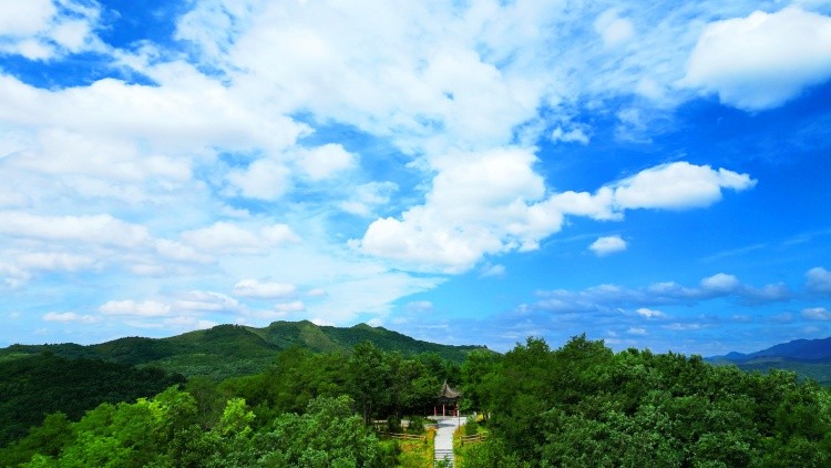 DJI_0815_1721265883156.jpg