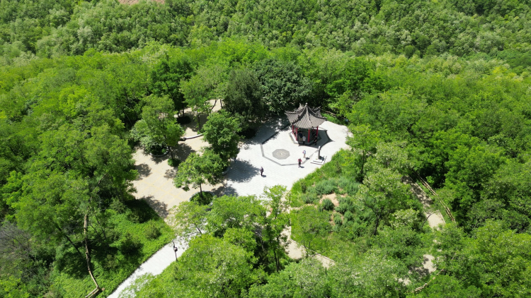 DJI_0945_1721263868467.png
