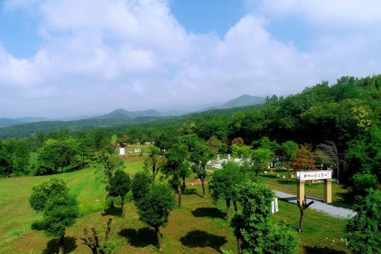 DJI_0843.JPG